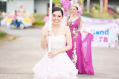 Pink_๒๑๐๑๐๕