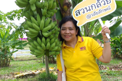 สวนกล้วย-วลัยลักษณ์_๒๐๑๐๒๙_11