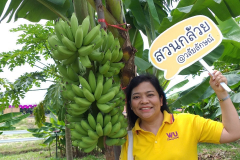 สวนกล้วย-วลัยลักษณ์_๒๐๑๐๒๙_12