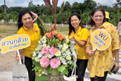 สวนกล้วย-วลัยลักษณ์_๒๐๑๐๒๙_20