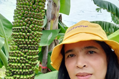 สวนกล้วย-วลัยลักษณ์_๒๐๑๐๒๙_38