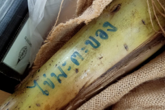 สวนกล้วย-วลัยลักษณ์_๒๐๑๐๒๙_39