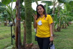 สวนกล้วย-วลัยลักษณ์_๒๐๑๐๒๙_4