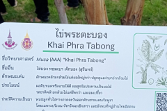 สวนกล้วย-วลัยลักษณ์_๒๐๑๐๒๙_41