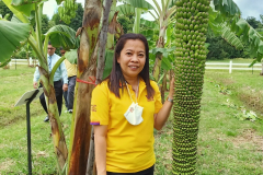 สวนกล้วย-วลัยลักษณ์_๒๐๑๐๒๙_43