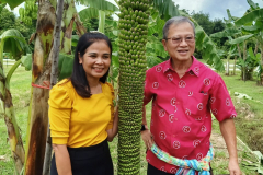 สวนกล้วย-วลัยลักษณ์_๒๐๑๐๒๙_44