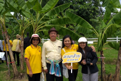 สวนกล้วย-วลัยลักษณ์_๒๐๑๐๒๙_7